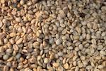  Raw   Coffee 