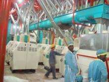 maize flour processing equipment