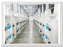 corn flour mill line, wheat  mill  machine 