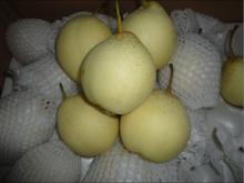  Fresh   Ya   Pear 