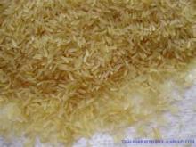  PADDY   RICE 