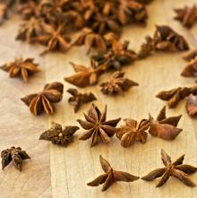 Star Aniseed