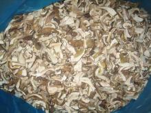 Dry boletus edulis