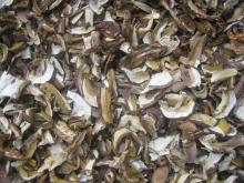 2011  dry   boletus   edulis 