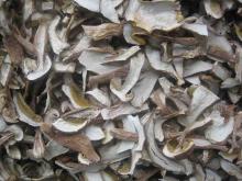 organic dry boletus edulis