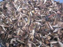 dry ceps