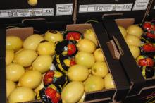 lemon