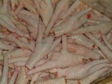 Frozen Processed Chicken Paw and Feet