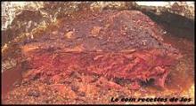 SMOKED MEAT