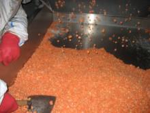 Frozen Carrot Diced