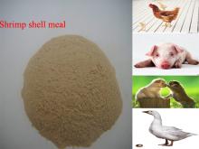 35% shrimp shell meal