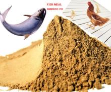  65 %  fish   meal 