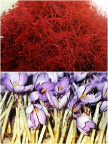  dried   saffron 