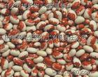 soybean extract isoflavones 10%-90%