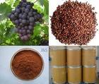 grape seed extract, plant extract