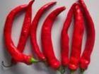 piperine, pepper extract 98%
