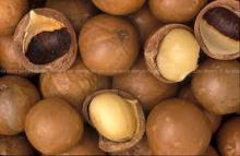 MACADAMIA NUT