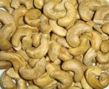 cashew nut ww320
