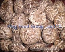 Dehydrated shiitake mushroom