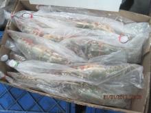 Frozen Lobster