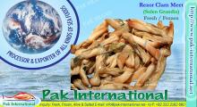 Rezor Clam Meet (Solen grandis)