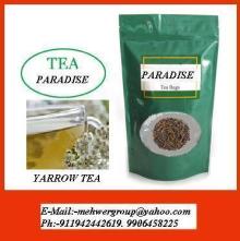 yarrow tea (Achillea millefolium