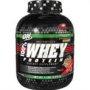 OPTIMUM NUTRITION 100% Whey Protein - Gold Standard Chocolate Mint ...
