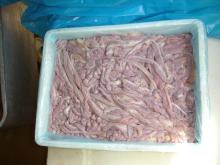 Natural Salted  Sheep   Goat  Casing  Sheep  Intestines