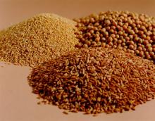  Flaxseed   Extract   powder /ISO9001,Kosher,Organic certificated