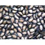 Black Watermelon Seeds