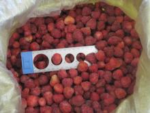 IQF Strawberry American 13 grade B
