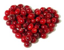 Cranberry Extract