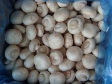frozen mushrooms