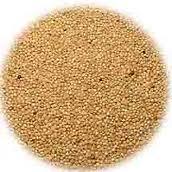 Amaranth Food Color