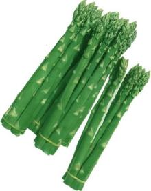 fresh preserved asparagus
