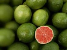 Fresh Lemon, Limes and Oranges