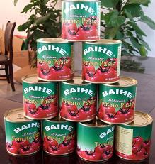 TOMATO SAUCE