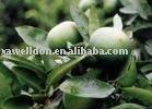 Natural Herbal Product of Citrus Aurantium Extract (Synephrine 4%-98%)
