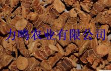 galangal