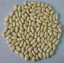Blanched peanut kernels