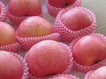 Fuji Apple /Fresh Apple