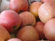 Chinese Delicious Fuji Apple/Fresh Apple