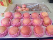 Chinese Delicious Fuji Apple/Red Apple