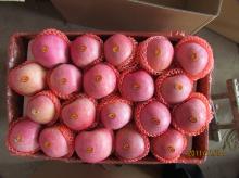 Chinese Qinguan Apple