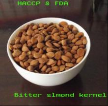  Bitter   almond  kernel