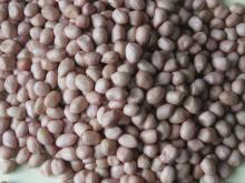 Shandong  Round   Shape   Peanut  Kernel