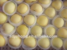 2011 Golden Delicious Apple