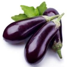 Fresh eggplant, vegetable