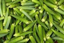 Fresh  okra ,  Lady   fingers , vegetable
