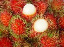 Frozen Rambutan, fresh fruit